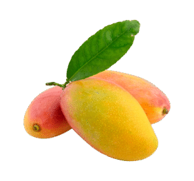 Large Fresh Mango