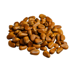 Brown Nuts