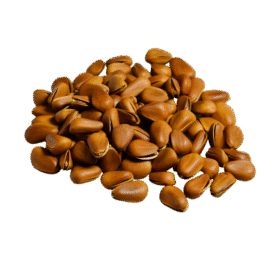 Brown Nuts