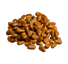 Brown Nuts