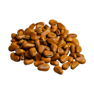 Brown Nuts