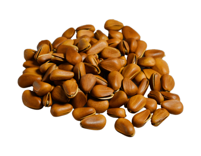 Brown Nuts