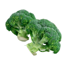 Organic Broccoli Sliced