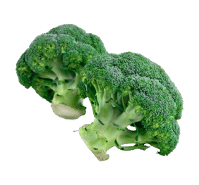 Organic Broccoli Sliced