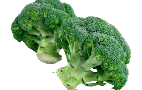 Organic Broccoli Sliced