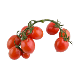 Red Cherry Tomato