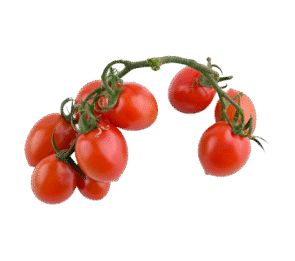 Red Cherry Tomato