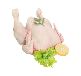 Fresh Full Chicken