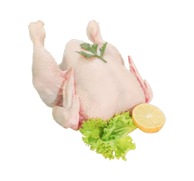 Fresh Full Chicken
