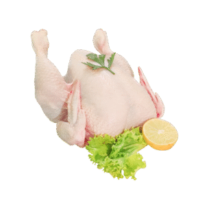 Fresh Full Chicken