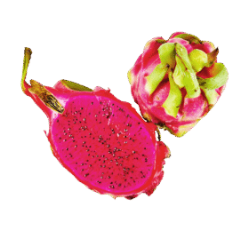 Red Dragon Fruit