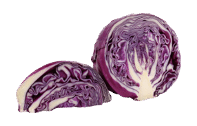 Sliced Purple Cabbage
