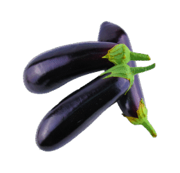 Black Vegan Brinjal