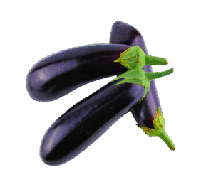 Black Vegan Brinjal
