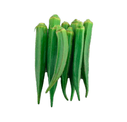 Green Lady Finger