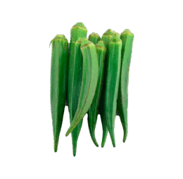 Green Lady Finger