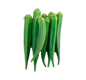 Green Lady Finger
