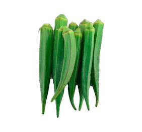 Green Lady Finger
