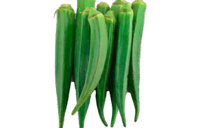 Green Lady Finger