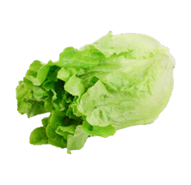 Green Ve Cabbage