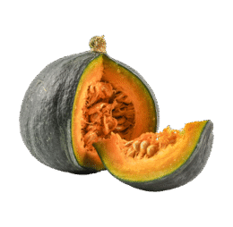 Big Delicious Pumpkin