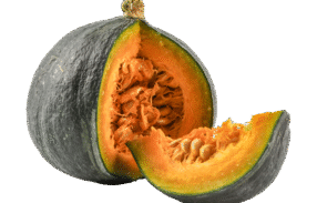 Big Delicious Pumpkin