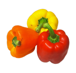 Mixed Vegan Capsicum