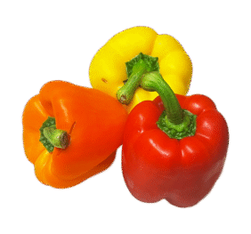 Mixed Vegan Capsicum