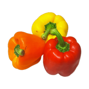 Mixed Vegan Capsicum