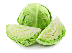 Fresh Greeny Cabbage