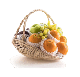 Vege Fruit Bucket