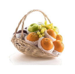 Vege Fruit Bucket