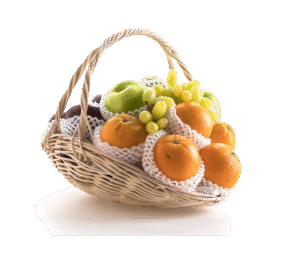 Vege Fruit Bucket