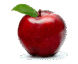Red Fresh Apple