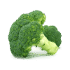 Calabres Broccoli