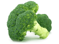 Calabres Broccoli