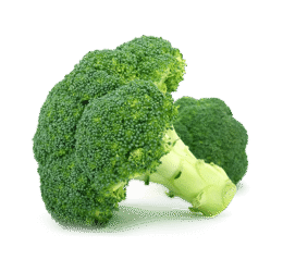 Calabres Broccoli