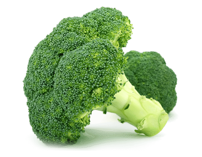 Calabres Broccoli