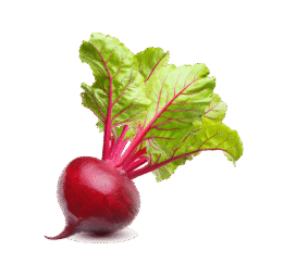 Vegan Fresh Radish