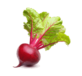 Vegan Fresh Radish