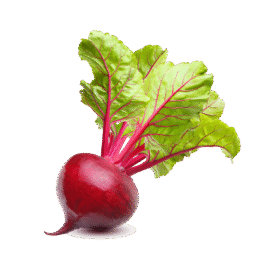 Vegan Fresh Radish