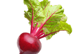 Vegan Fresh Radish