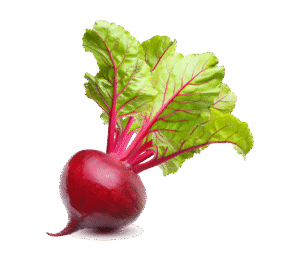 Vegan Fresh Radish